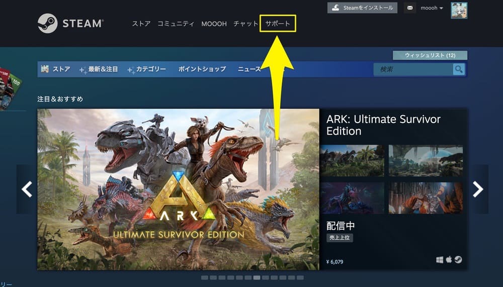 Steamのログイン履歴の確認方法 不正アクセスを防ぐためには ゲームライフ