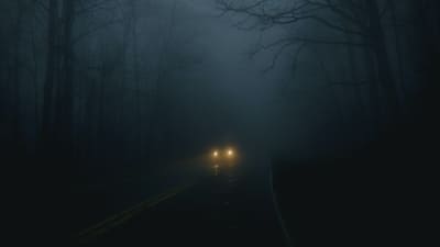 ヤマノケ・テンソウメツ